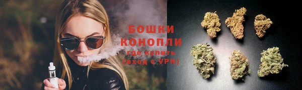 ГАЛЛЮЦИНОГЕННЫЕ ГРИБЫ Нефтегорск